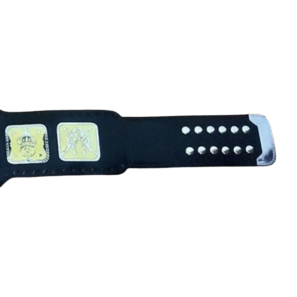 AWA World Tag Team Wrestling Championship Belt Championship Belts Online