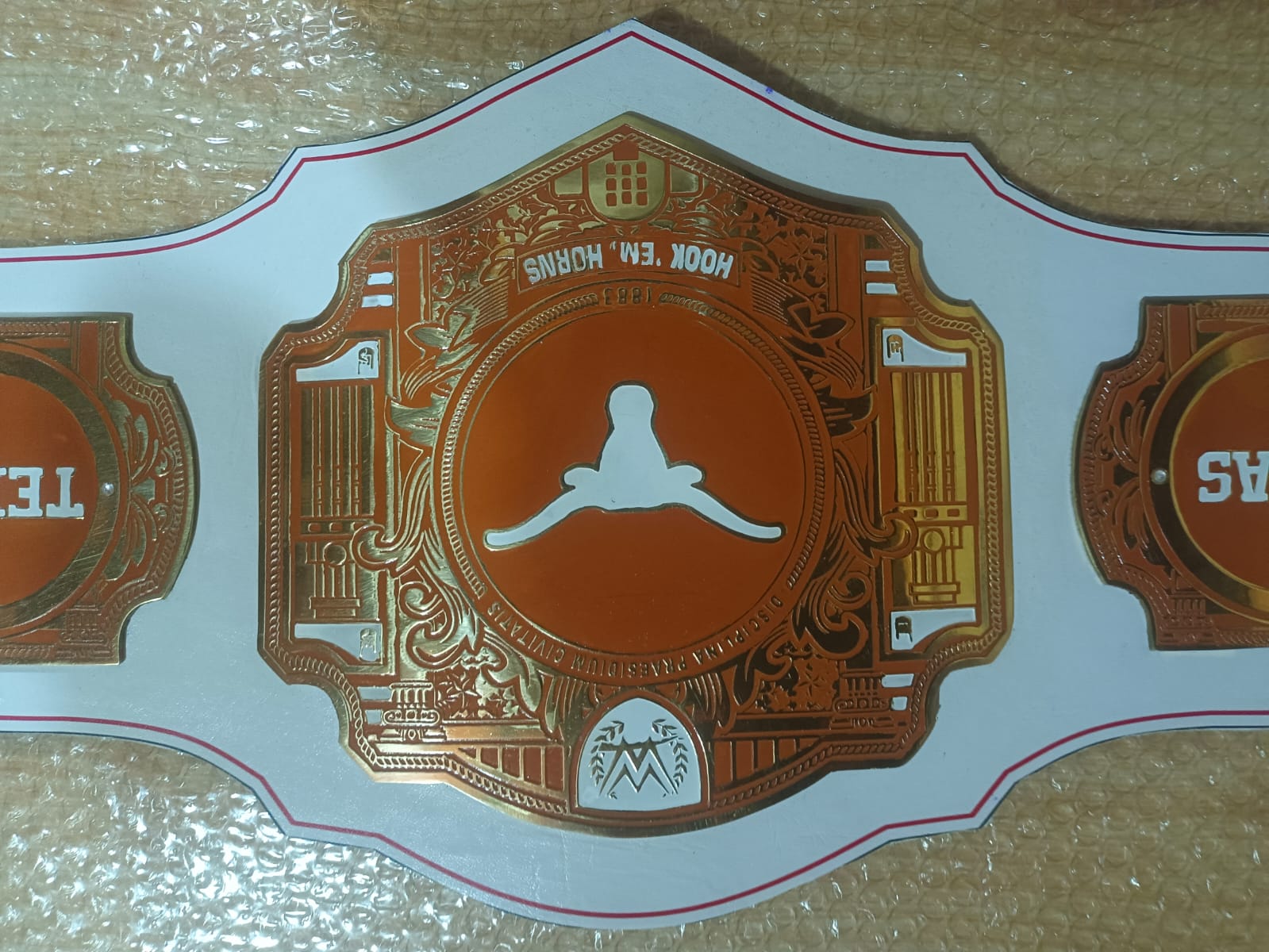 Texas Longhorns WWE Legacy Title
