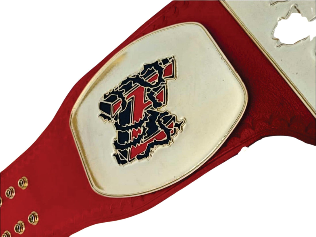 Tomorrow's End Custom  Championship Wrestling Belt Championship Belts Online