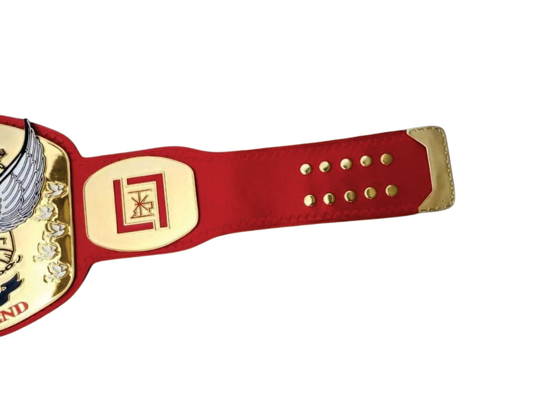 Tomorrow's End Custom  Championship Wrestling Belt Championship Belts Online