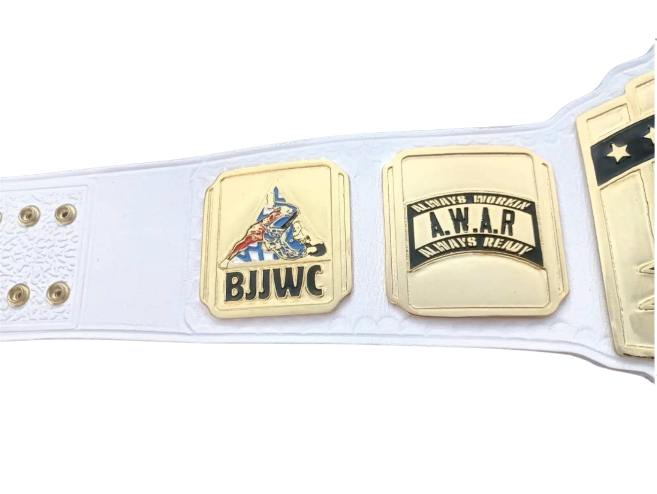 BJJ World Champion A.W.A.R Championship Belt Championship Belts Online