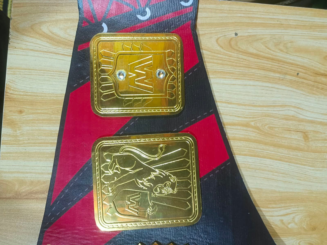 Kane WWE Championship Belt