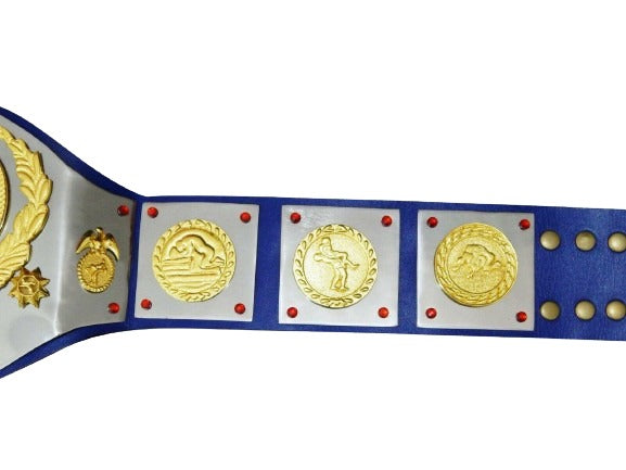WWWF Bruno Sammartino Heavyweight Wrestling Champion Belt Bob Backlund Champions Championship Belts Online