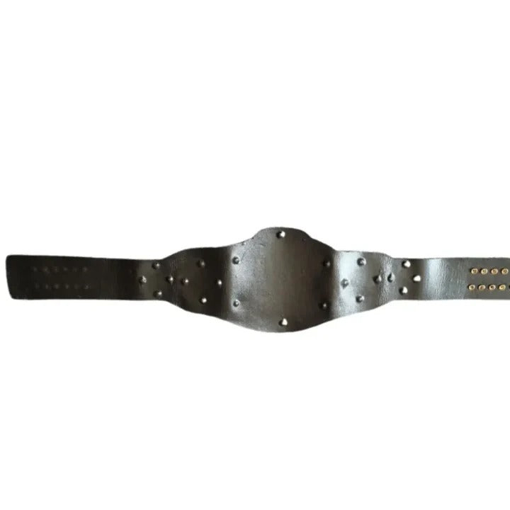ROH World Tag Team Title replica - Championship Belts Online