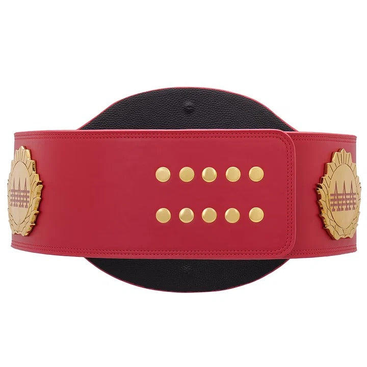 AAA World Mixed Tag Team Championship Replica Title Belt
