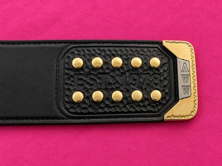 The 24K CNC AWO World Champion Premium CNC Championship Belt Replica Reg