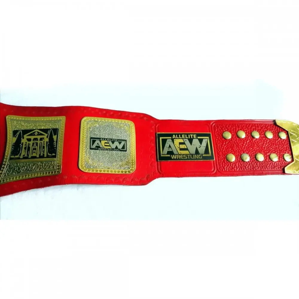 Red AEW TNT Championship replica belt with gold plates and black AEW wrestling logo